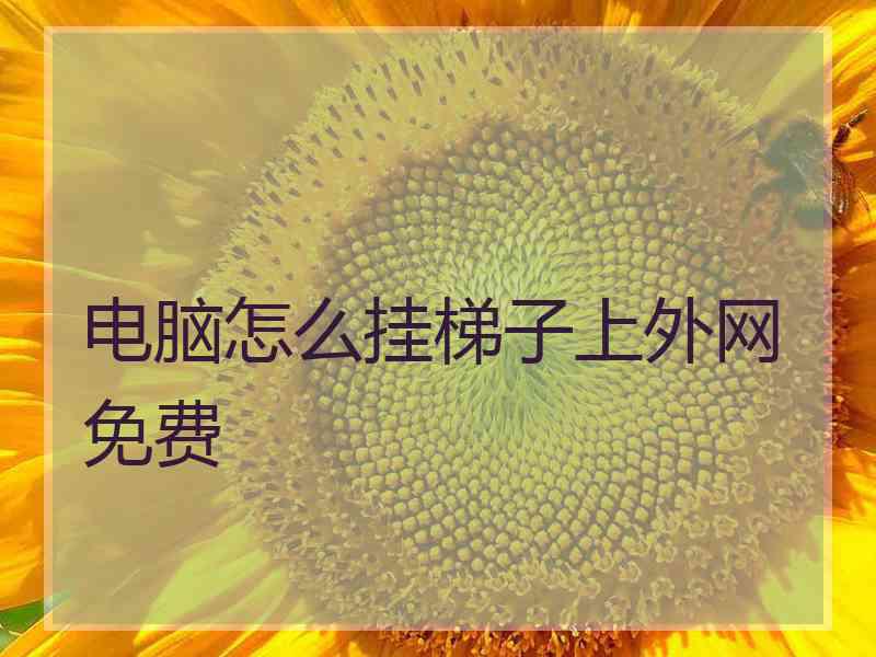 电脑怎么挂梯子上外网免费