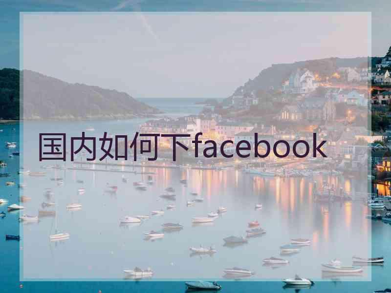 国内如何下facebook