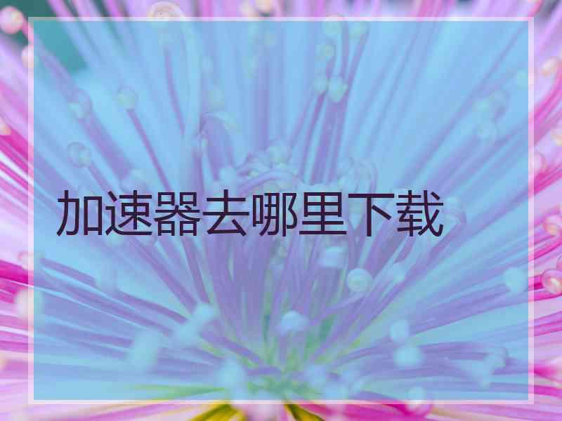 加速器去哪里下载