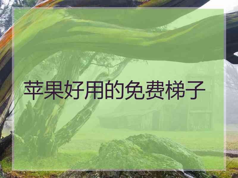 苹果好用的免费梯子