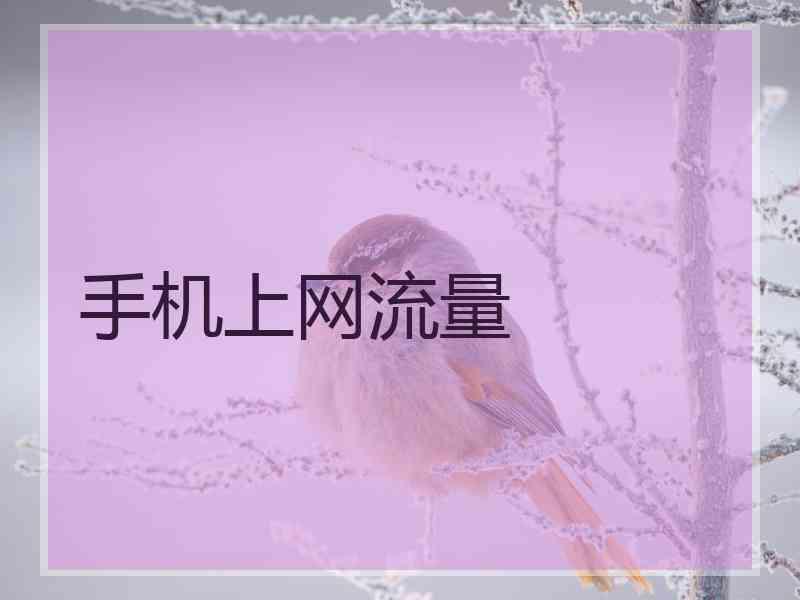 手机上网流量