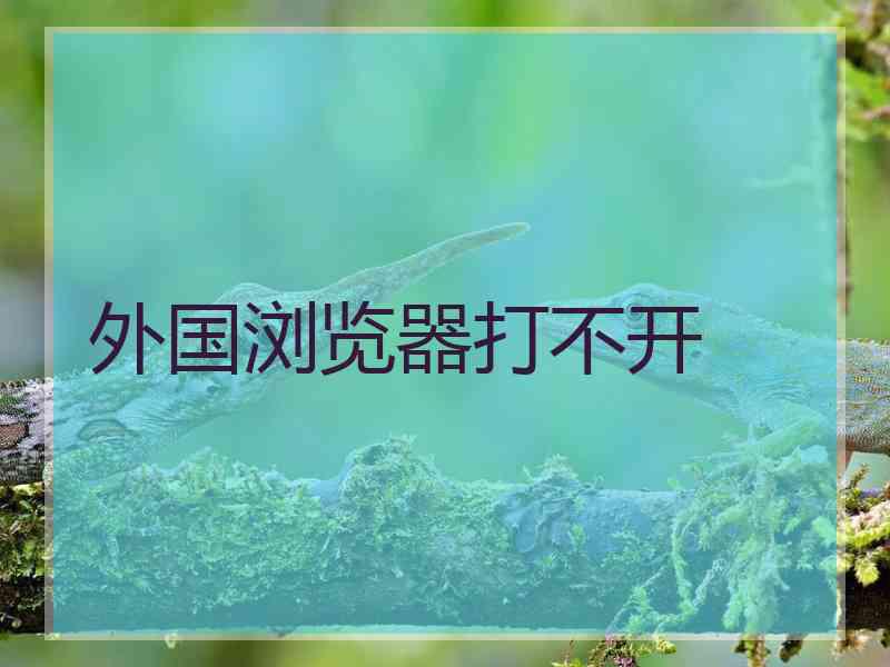 外国浏览器打不开