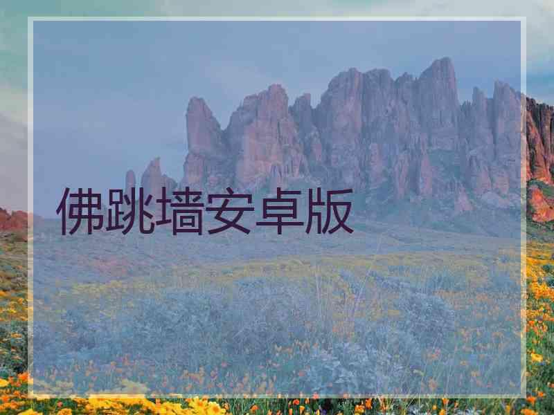 佛跳墙安卓版