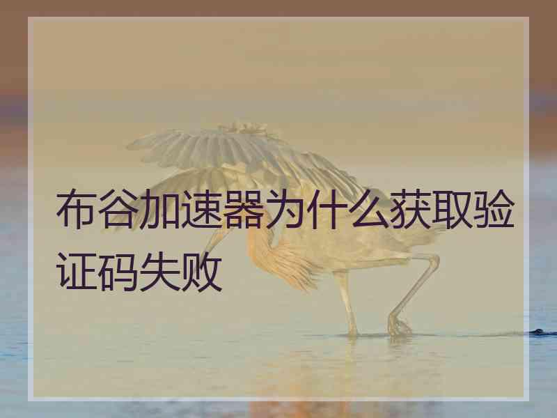 布谷加速器为什么获取验证码失败