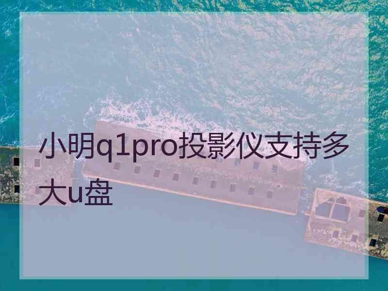 小明q1pro投影仪支持多大u盘