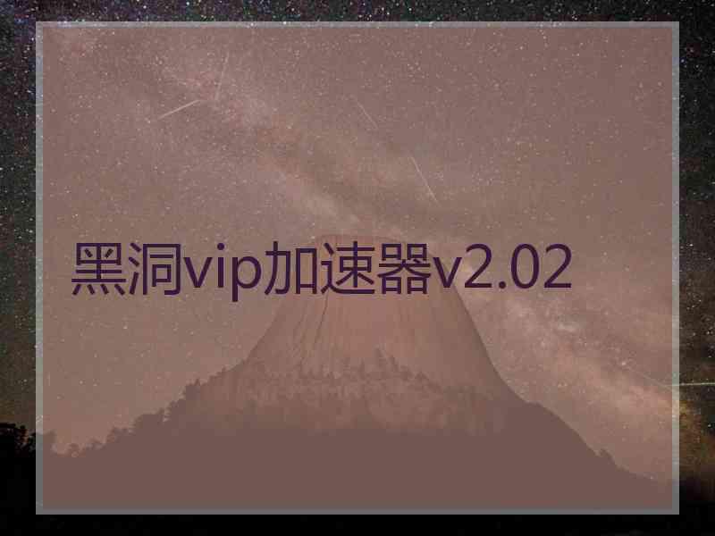 黑洞vip加速器v2.02