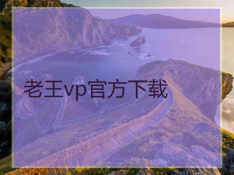 老王vp官方下载