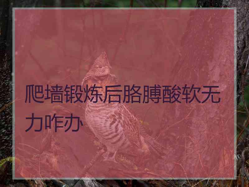 爬墙锻炼后胳膊酸软无力咋办