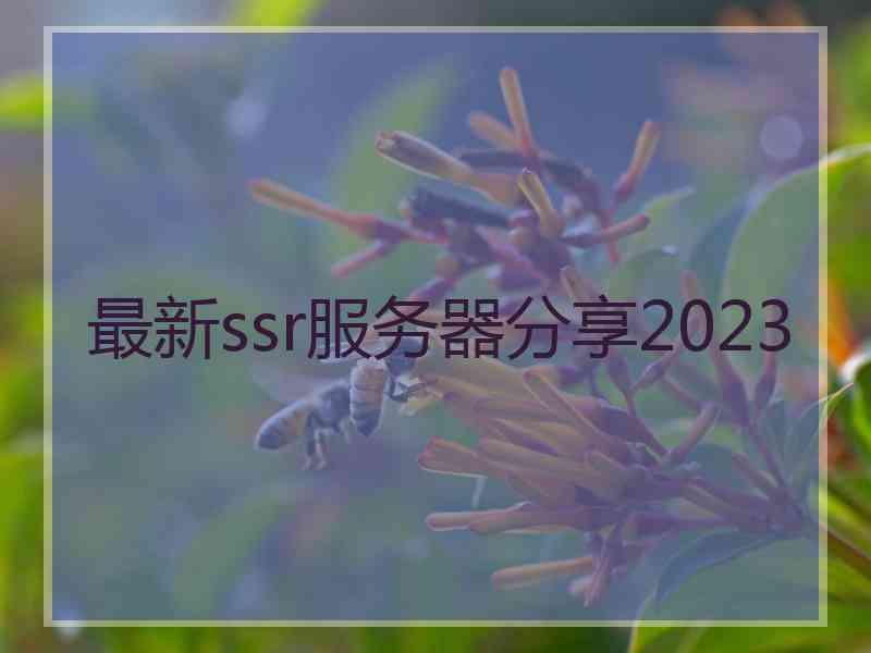 最新ssr服务器分享2023