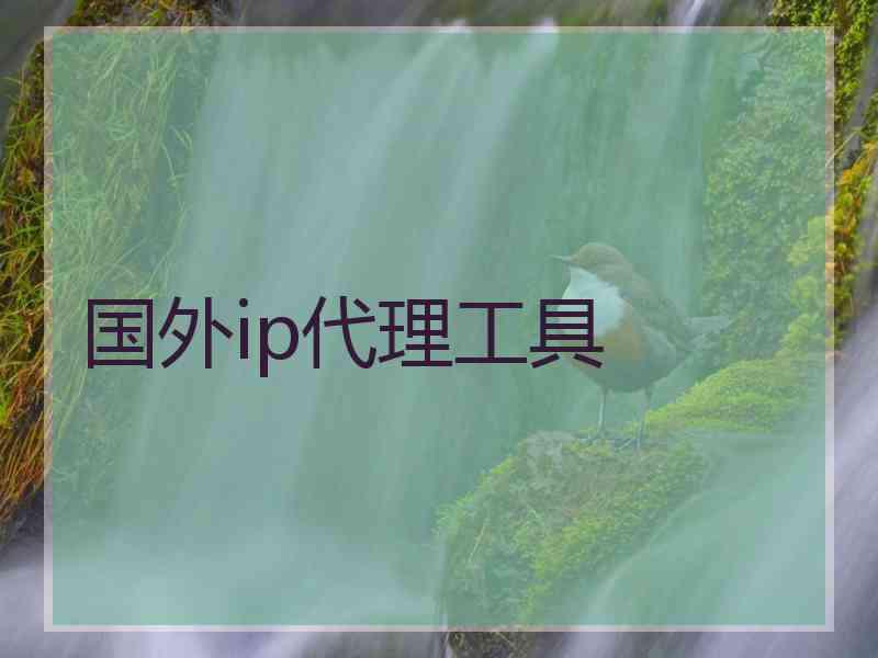国外ip代理工具