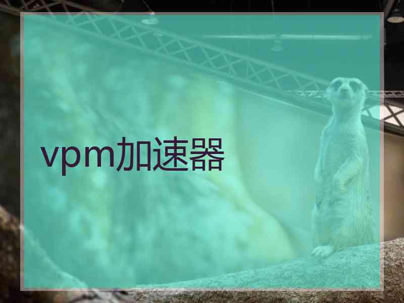 vpm加速器
