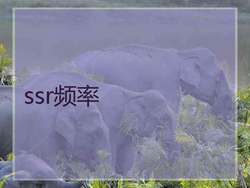 ssr频率