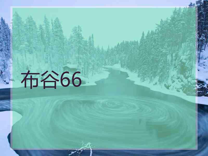 布谷66