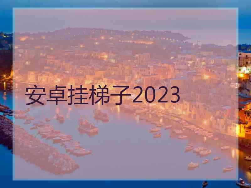 安卓挂梯子2023