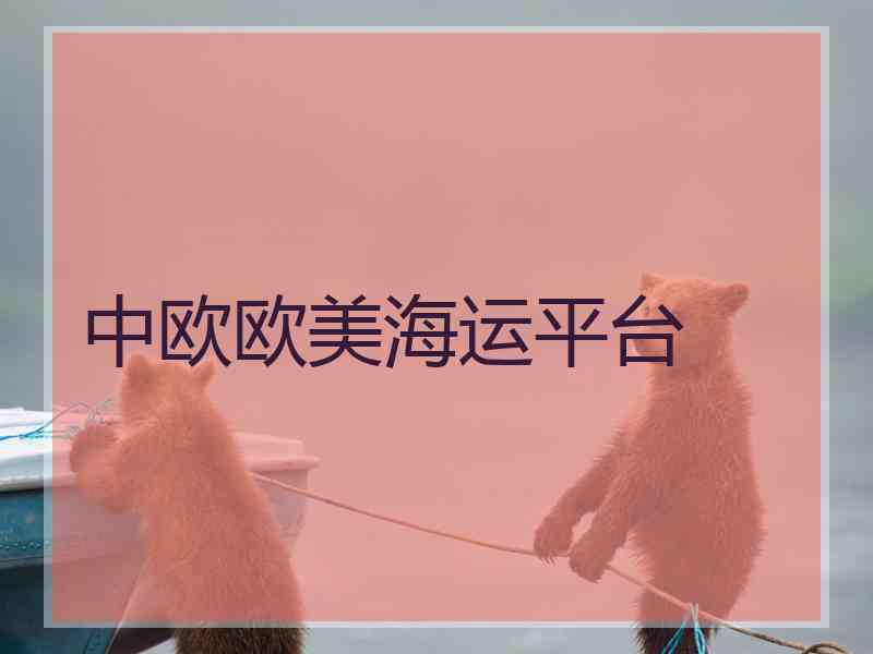中欧欧美海运平台