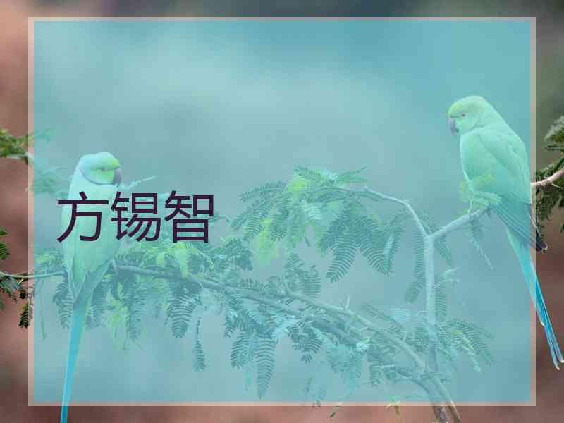 方锡智