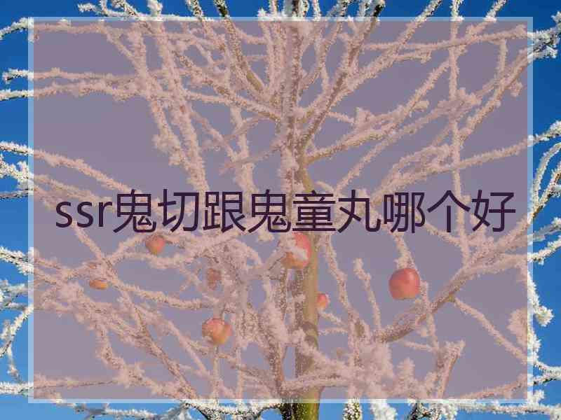 ssr鬼切跟鬼童丸哪个好