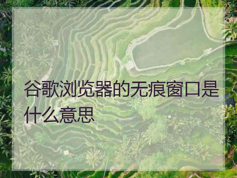谷歌浏览器的无痕窗口是什么意思