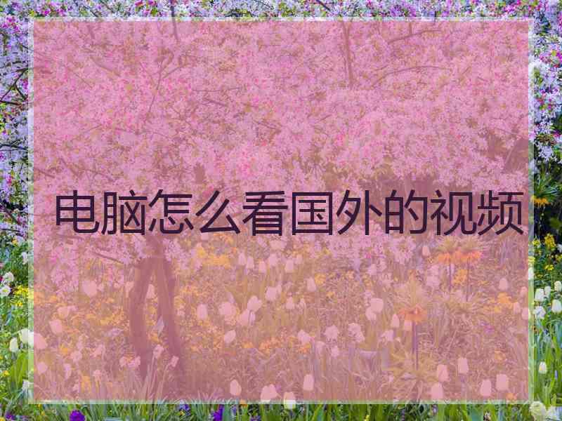 电脑怎么看国外的视频