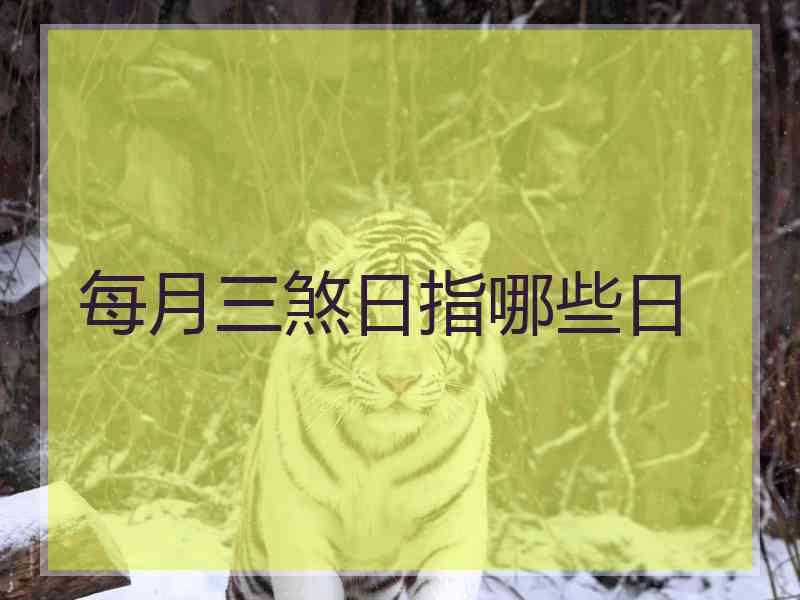 每月三煞日指哪些日