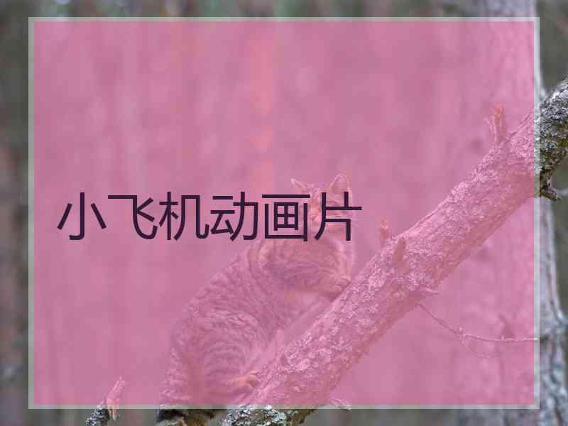 小飞机动画片