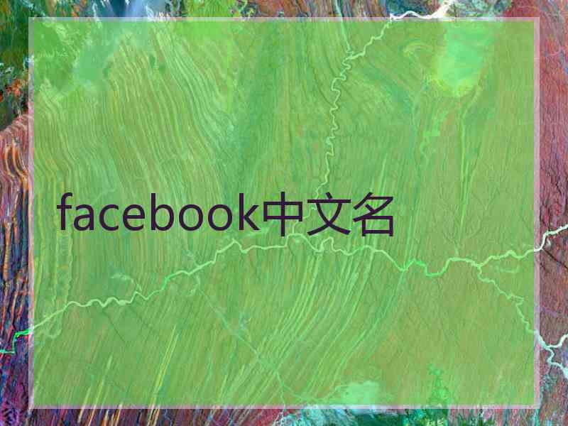 facebook中文名