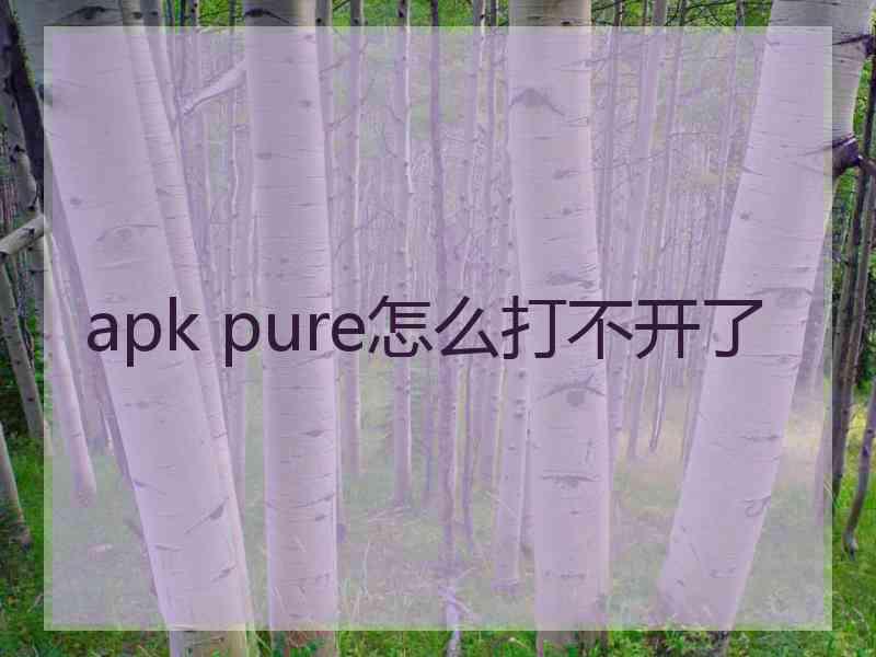 apk pure怎么打不开了