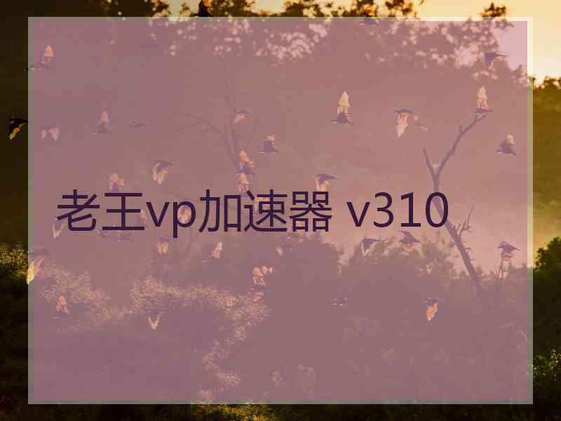 老王vp加速器 v310