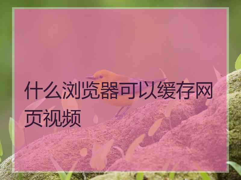 什么浏览器可以缓存网页视频