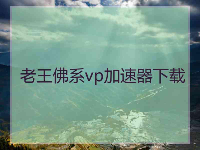 老王佛系vp加速器下载