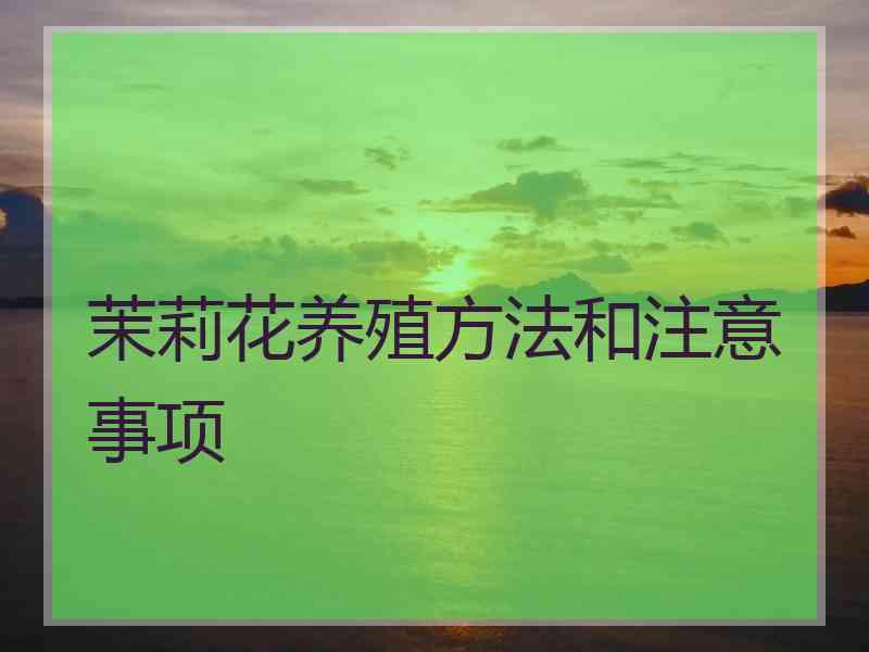 茉莉花养殖方法和注意事项