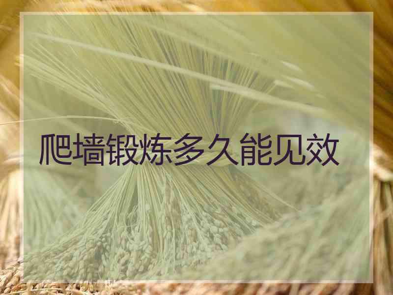 爬墙锻炼多久能见效