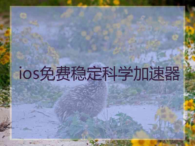 ios免费稳定科学加速器