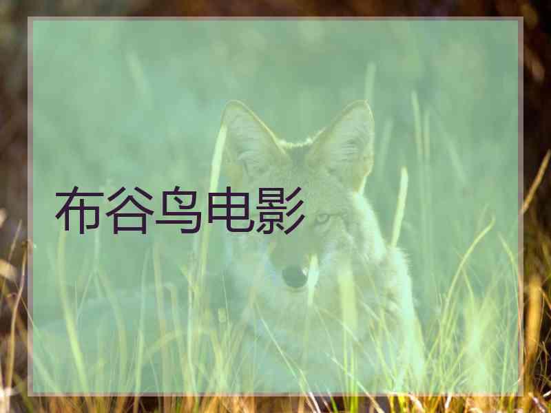 布谷鸟电影