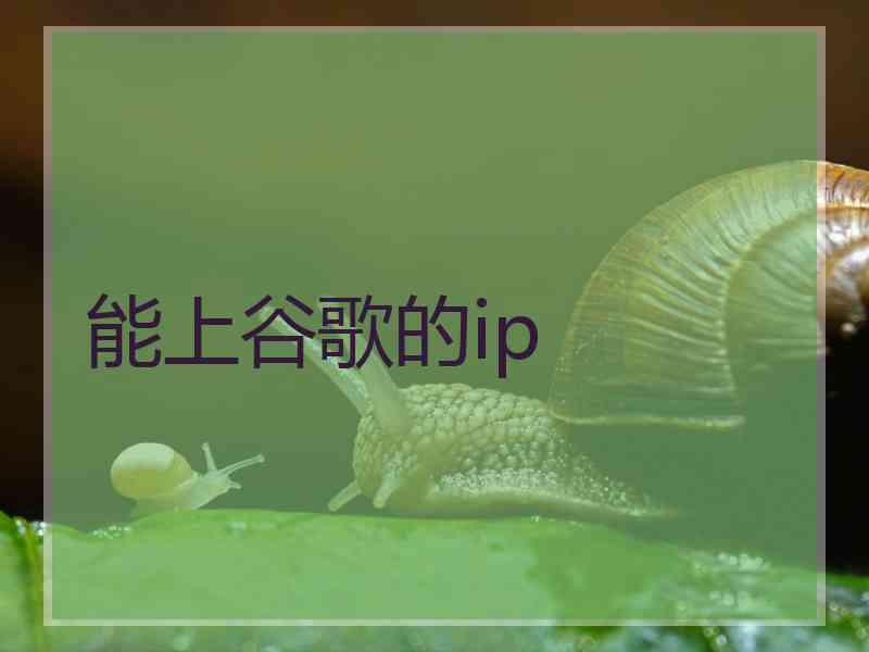 能上谷歌的ip