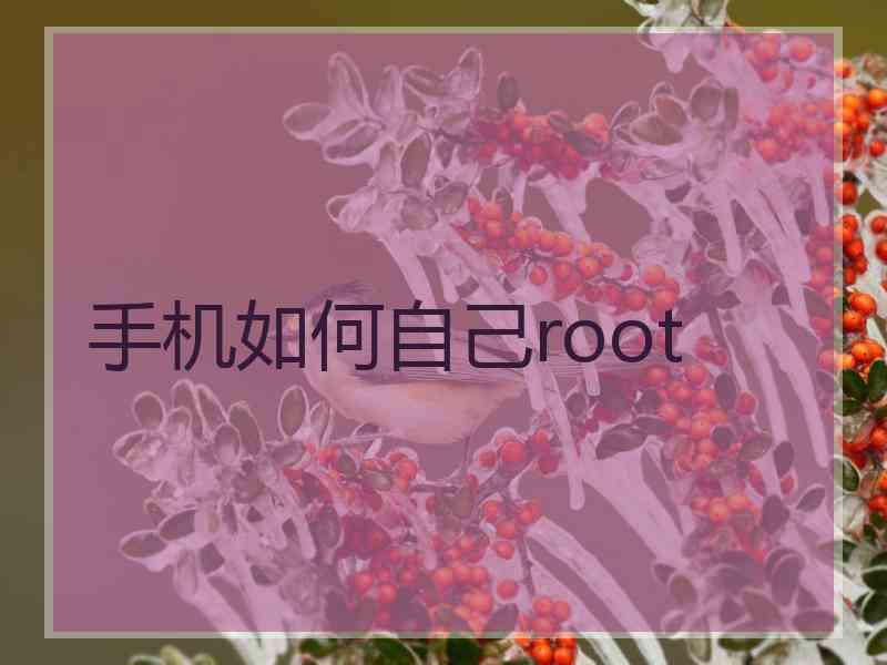 手机如何自己root