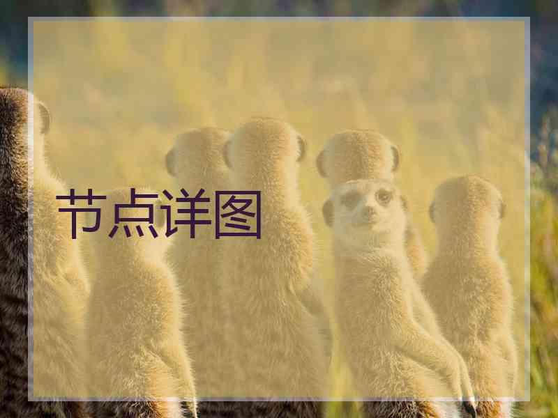 节点详图