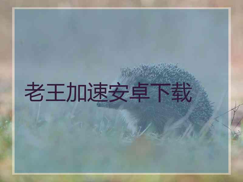 老王加速安卓下载
