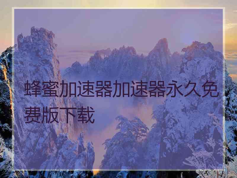 蜂蜜加速器加速器永久免费版下载