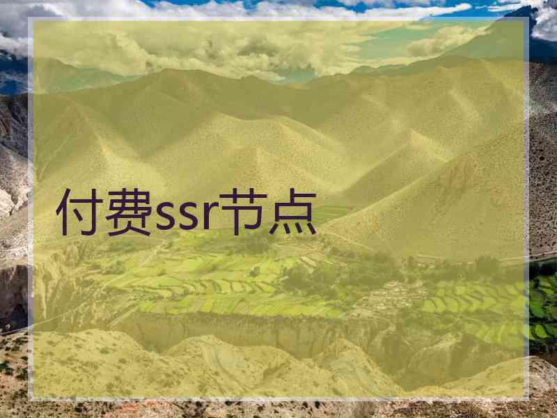 付费ssr节点