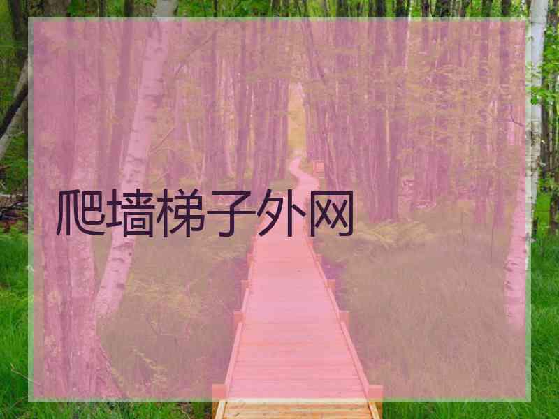 爬墙梯子外网