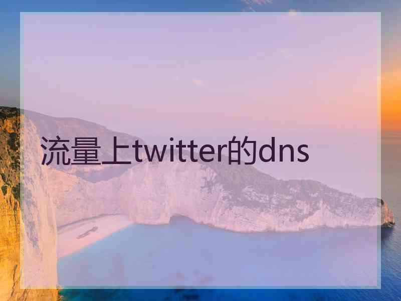 流量上twitter的dns