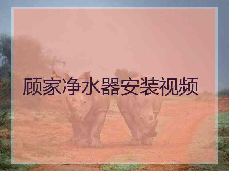 顾家净水器安装视频