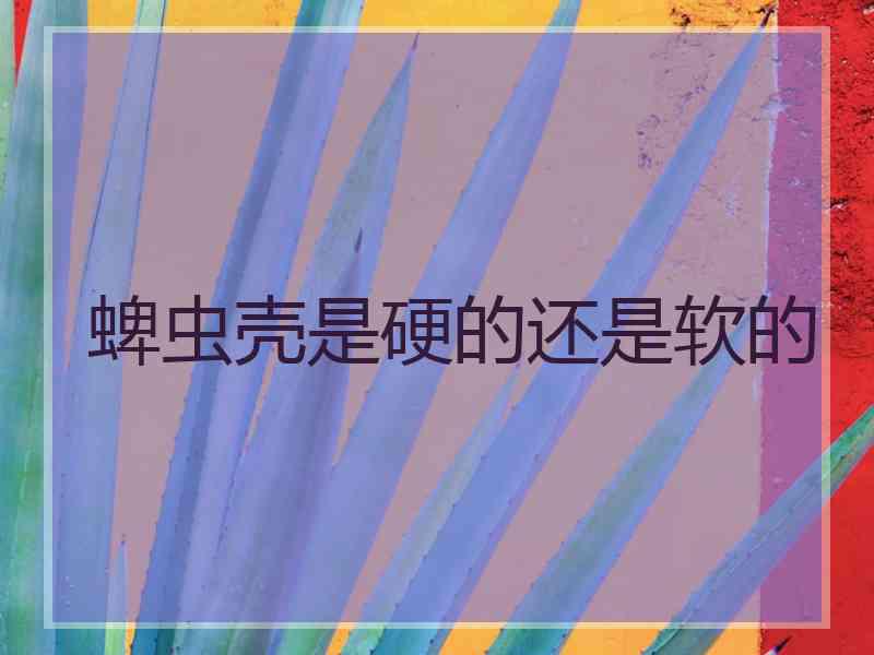 蜱虫壳是硬的还是软的