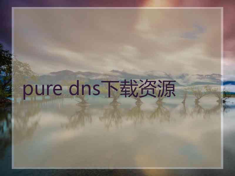pure dns下载资源