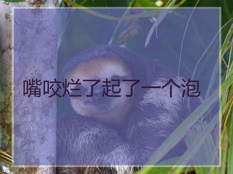 嘴咬烂了起了一个泡