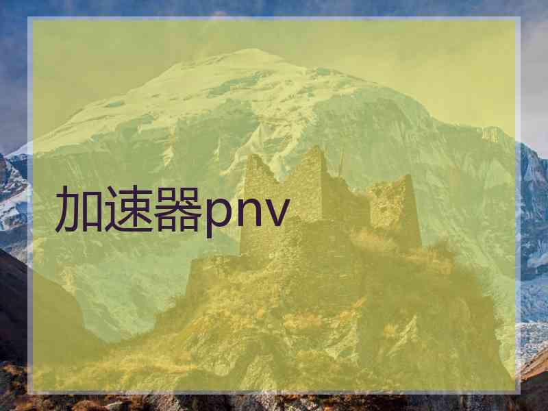 加速器pnv