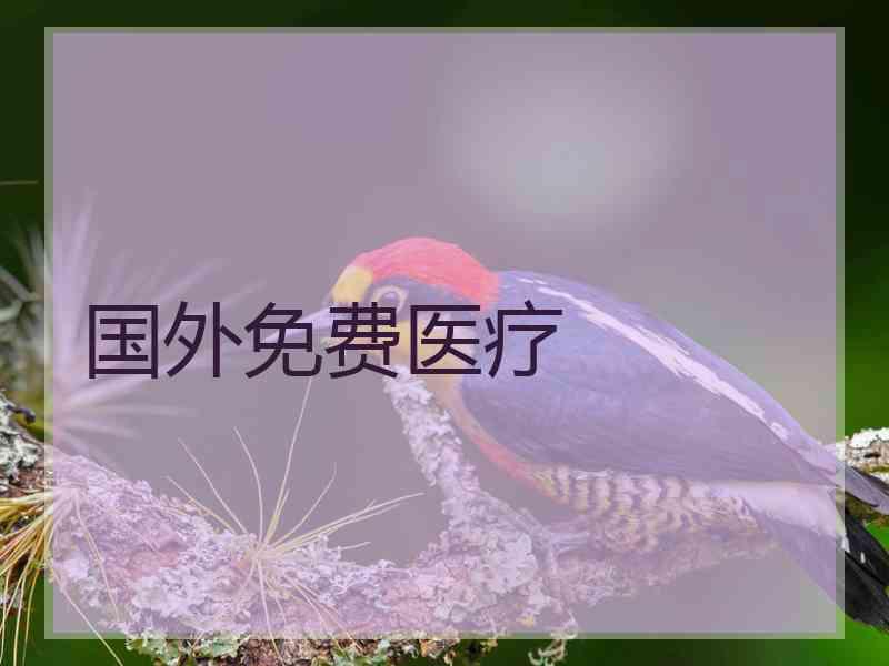 国外免费医疗