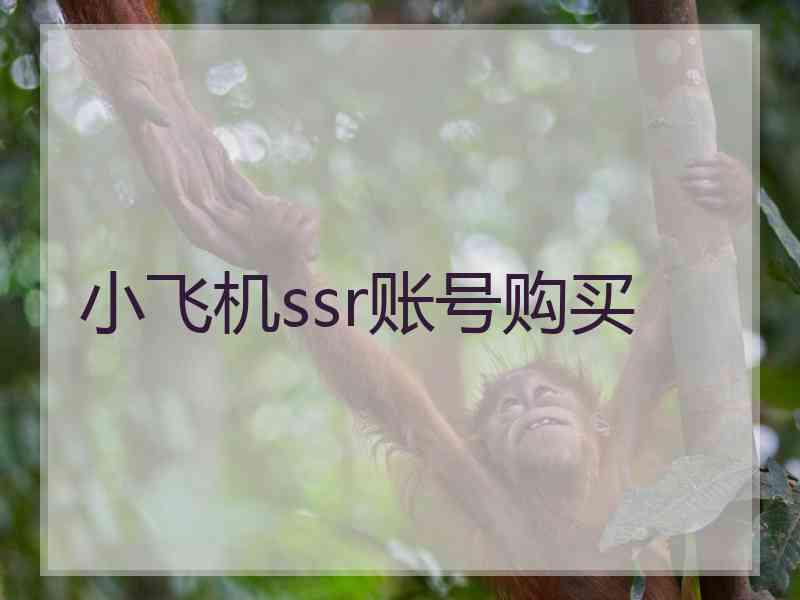 小飞机ssr账号购买