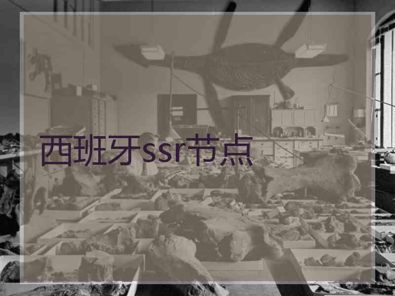西班牙ssr节点